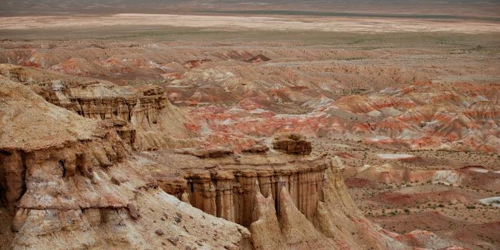gobi desert